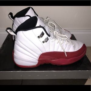 Air Jordan shoes retro 12s